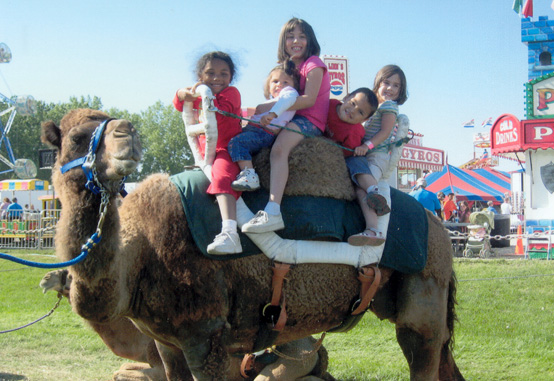 Kids riding a camel