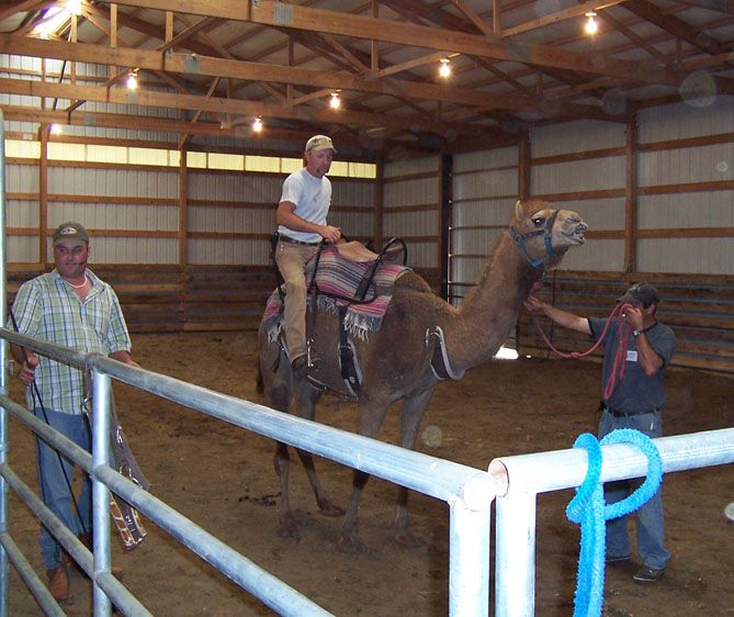 Smooth Roose and crew at 2005 camel clinic